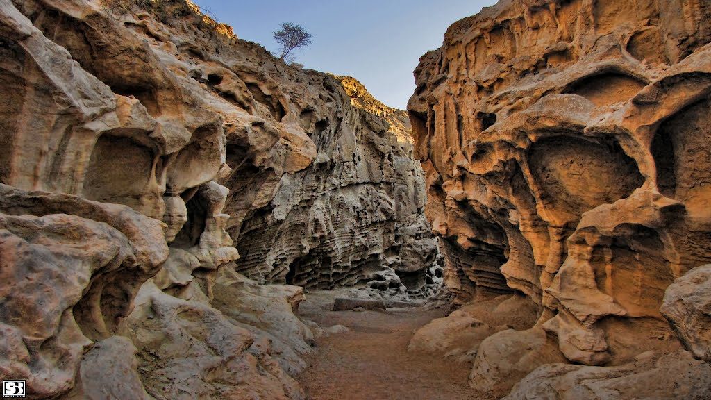 تورهای قشم - هرمز